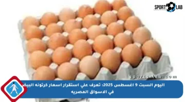 اليوم السبت 9 أغسطس 2025: تعرف على استقرار أسعار كرتونة البيض في الأسواق المصرية